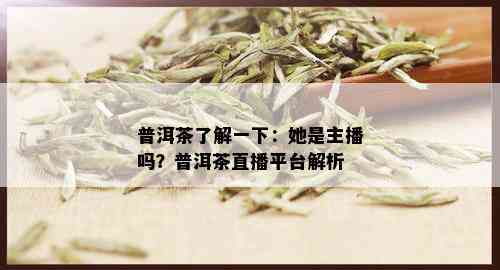 普洱茶了解一下：她是主播吗？普洱茶直播平台解析