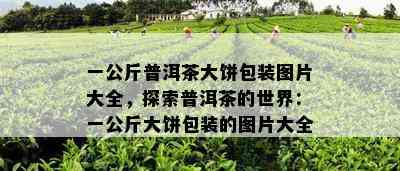 一公斤普洱茶大饼包装图片大全，探索普洱茶的世界：一公斤大饼包装的图片大全