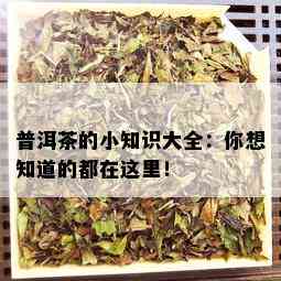 普洱茶的小知识大全：你想知道的都在这里！