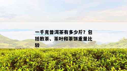 一千克普洱茶有多少斤？包括散茶、茶叶和茶饼重量比较