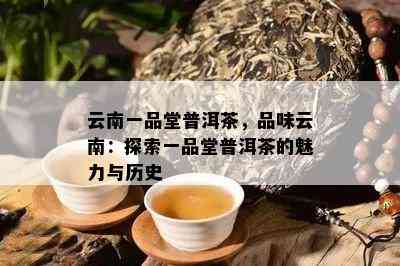 云南一品堂普洱茶，品味云南：探索一品堂普洱茶的魅力与历史