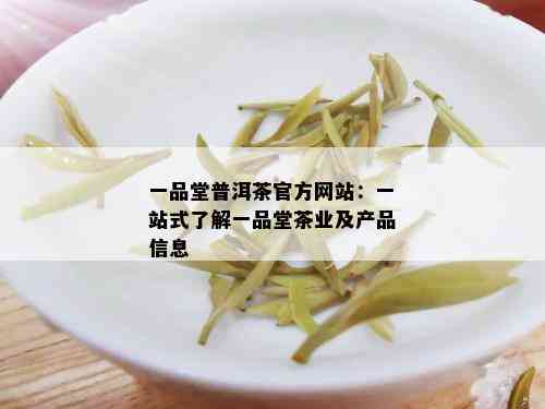 一品堂普洱茶官方网站：一站式了解一品堂茶业及产品信息