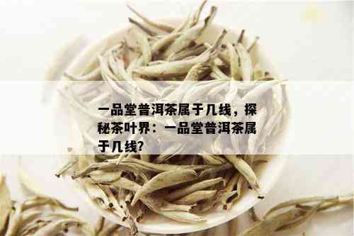 一品堂普洱茶属于几线，探秘茶叶界：一品堂普洱茶属于几线？