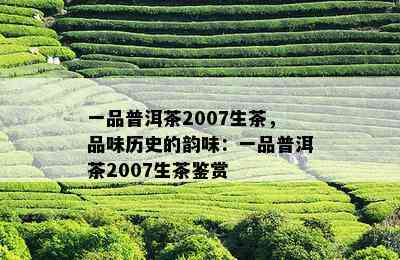 一品普洱茶2007生茶，品味历史的韵味：一品普洱茶2007生茶鉴赏