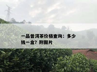 一品普洱茶价格查询：多少钱一盒？附图片