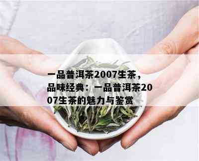 一品普洱茶2007生茶，品味经典：一品普洱茶2007生茶的魅力与鉴赏