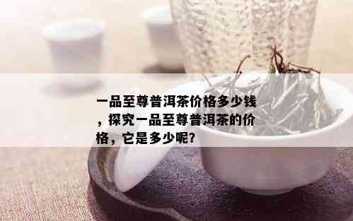 一品至尊普洱茶价格多少钱，探究一品至尊普洱茶的价格，它是多少呢？