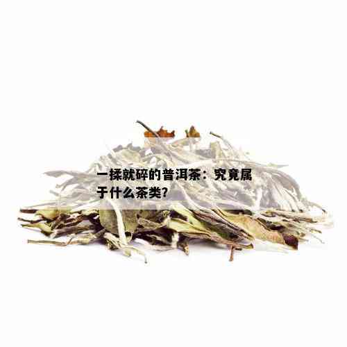 一揉就碎的普洱茶：究竟属于什么茶类？