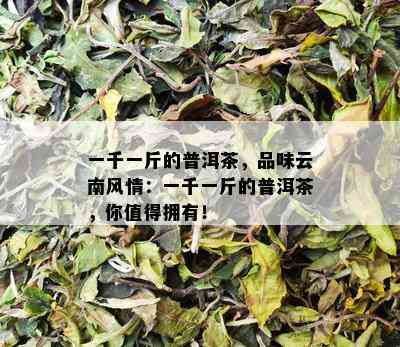 一千一斤的普洱茶，品味云南风情：一千一斤的普洱茶，你值得拥有！