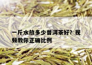 一斤水放多少普洱茶好？视频教你正确比例