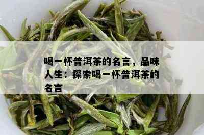 喝一杯普洱茶的名言，品味人生：探索喝一杯普洱茶的名言