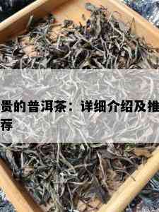 贵的普洱茶：详细介绍及推荐