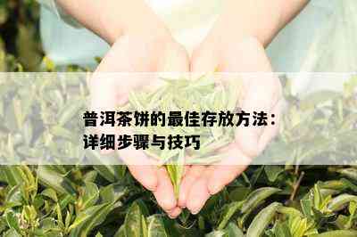 普洱茶饼的更佳存放方法：详细步骤与技巧