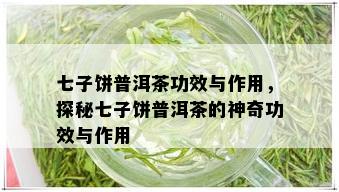 七子饼普洱茶功效与作用，探秘七子饼普洱茶的神奇功效与作用