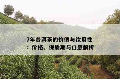 7年普洱茶的价值与饮用性：价格、保质期与口感解析