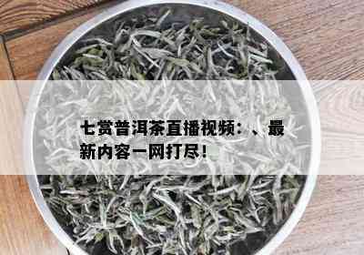 七赏普洱茶直播视频：、最新内容一网打尽！