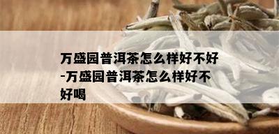 万盛园普洱茶怎么样好不好-万盛园普洱茶怎么样好不好喝