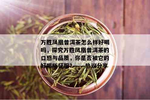 万胜凤凰普洱茶怎么样好喝吗，探究万胜凤凰普洱茶的口感与品质，你是否被它的好喝所征服？——热议分享