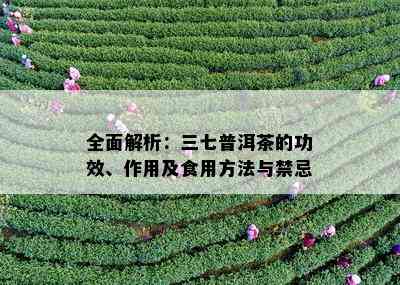 全面解析：三七普洱茶的功效、作用及食用方法与禁忌