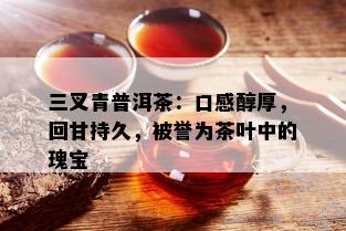 三叉青普洱茶：口感醇厚，回甘持久，被誉为茶叶中的瑰宝