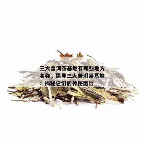 三大普洱茶基地有哪些地方名称，探寻三大普洱茶基地：揭秘它们的神秘面纱