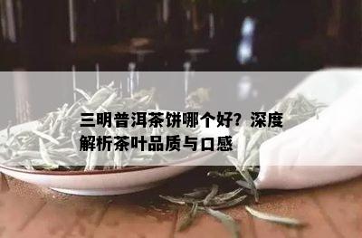 三明普洱茶饼哪个好？深度解析茶叶品质与口感