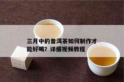 三月中的普洱茶如何制作才能好喝？详细视频教程