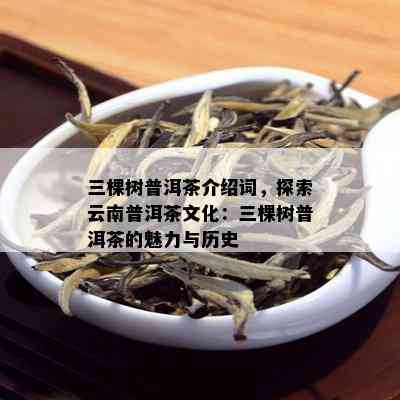 三棵树普洱茶介绍词，探索云南普洱茶文化：三棵树普洱茶的魅力与历史