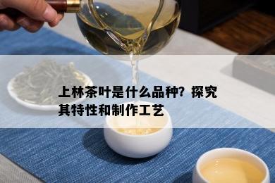 上林茶叶是什么品种？探究其特性和制作工艺