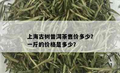 上海古树普洱茶售价多少？一斤的价格是多少？