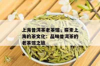 上海普洱茶老茶馆，探索上海的茶文化：品味普洱茶的老茶馆之旅