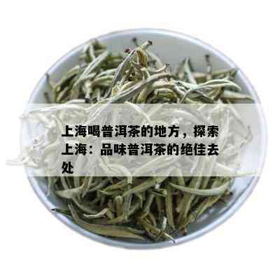 上海喝普洱茶的地方，探索上海：品味普洱茶的绝佳去处