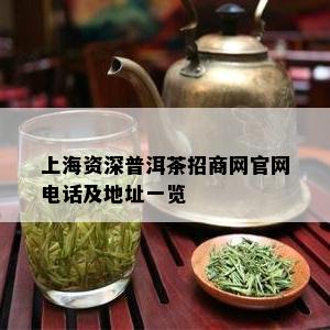 上海资深普洱茶招商网官网电话及地址一览