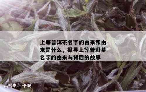 上等普洱茶名字的由来和由来是什么，探寻上等普洱茶名字的由来与背后的故事