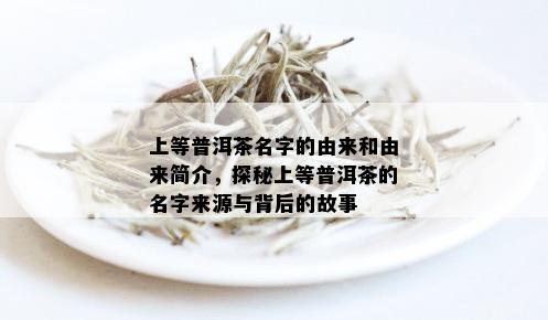 上等普洱茶名字的由来和由来简介，探秘上等普洱茶的名字来源与背后的故事