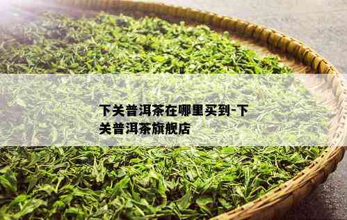 下关普洱茶在哪里买到-下关普洱茶旗舰店