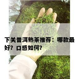 下关普洱熟茶推荐：哪款更好？口感如何？