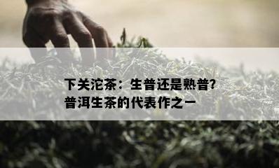 下关沱茶：生普还是熟普？普洱生茶的代表作之一