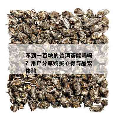 不到一百块的普洱茶能喝吗？用户分享购买心得与品饮体验