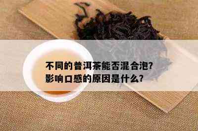 不同的普洱茶能否混合泡？影响口感的原因是什么？