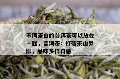 不同茶山的普洱茶可以放在一起，普洱茶：打破茶山界限，品味多样口感