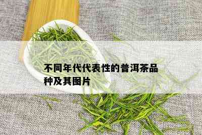 不同年代代表性的普洱茶品种及其图片