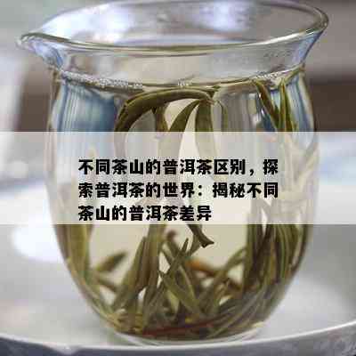 不同茶山的普洱茶区别，探索普洱茶的世界：揭秘不同茶山的普洱茶差异