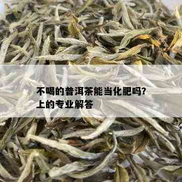 不喝的普洱茶能当化肥吗？上的专业解答