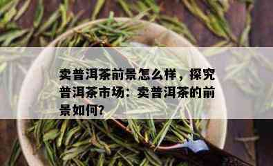 卖普洱茶前景怎么样，探究普洱茶市场：卖普洱茶的前景如何？