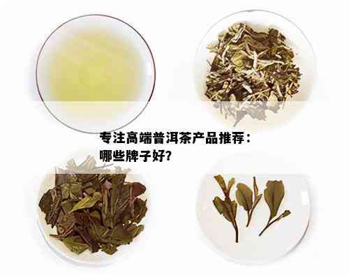 专注高端普洱茶产品推荐：哪些牌子好？