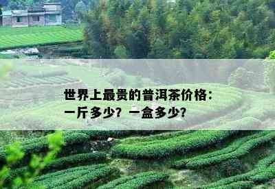 世界上最贵的普洱茶价格：一斤多少？一盒多少？