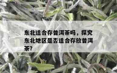 东北适合存普洱茶吗，探究东北地区是否适合存放普洱茶？