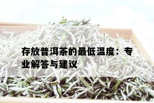 存放普洱茶的更低温度：专业解答与建议