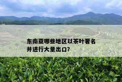 东南亚哪些地区以茶叶著名并进行大量出口？